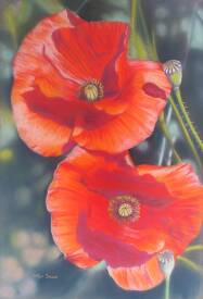 Evelyne BERART - duo de coquelicots 70x50.jpg