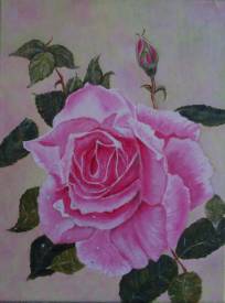 Patricia BRETEL - " Douceur d'une rose " Acrylique sur toile - L 30 X H 40 - disponible