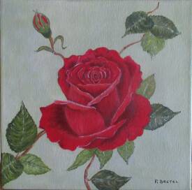 Patricia BRETEL - Rose Rouge - 30 X 30 - collection privée