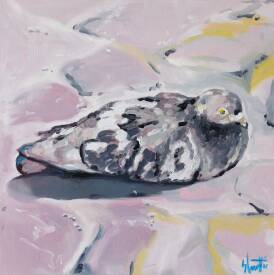 Sébastien COUËFFIC - the second pigeon oil 30 x 30 cm 2024.jpg