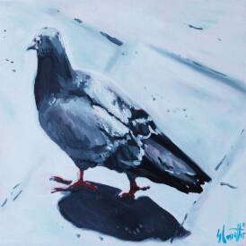 Sébastien COUËFFIC - The third pigeon oil 30 x 30 cm 2024.jpg