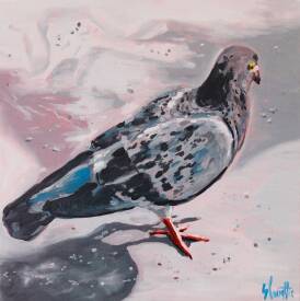 Sébastien COUËFFIC - pigeon oil 30 x 30 cm 2024.jpg