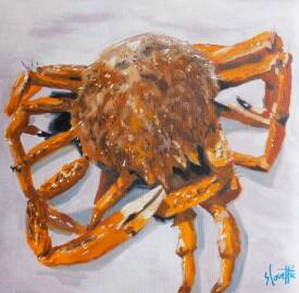 Sébastien COUËFFIC - Spider crab oil 36 x 36 cm 2024 2.jpg