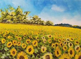 Jean-Philippe GUFFROY - 102/24 Tournesols